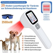 2.5W Physiotherapie Soft Laser