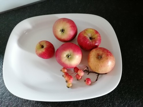 Neuwertig rosenthal - neuwertig,