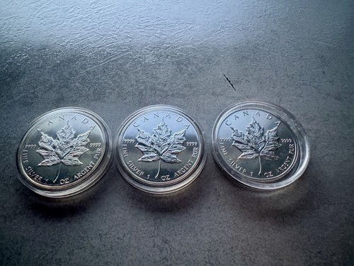 Kanada silver maple - kanada, leaf
