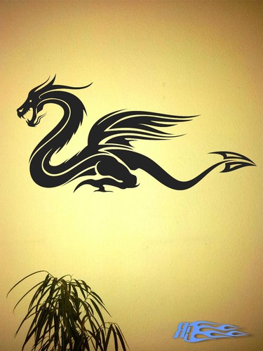 Drache wandtattoo oracal - drache, №11