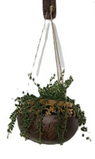 Blumenschale aufhängen Kokosschale Kunstblume Ikea Handarbeit Indien Goldrand