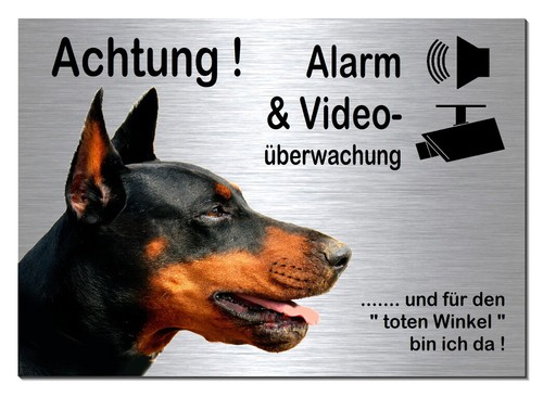 Dobermann-Hund-Alarm-Video-30