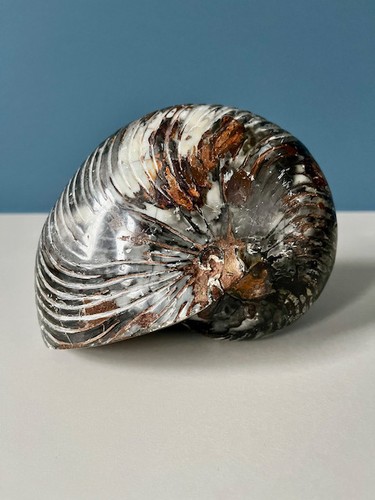 Paar große perlboote - große,