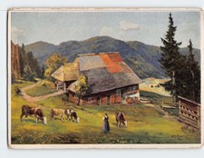 Postcard Altes Schwarzwälder