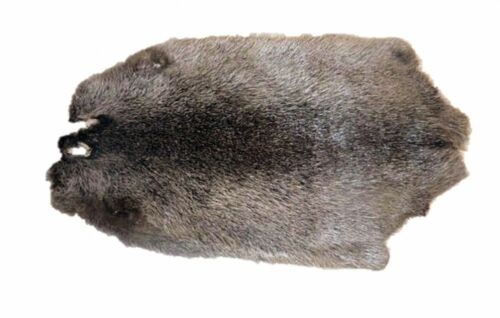 Tierfell nutria fell pelz - tierfell,,
