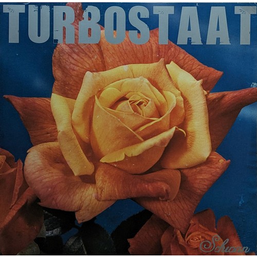 Turbostaat schwan vinyl - -, lp