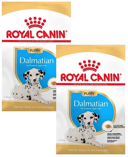 Kg royal canin - x,