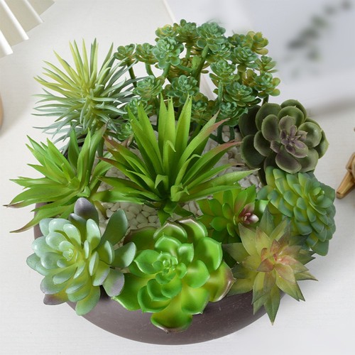 Pflegearm für mini bonsai - mini,