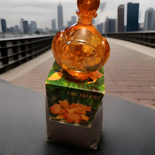 Eau De Toilette 100ml ORCHIDE Yves Rocher voll in der Box