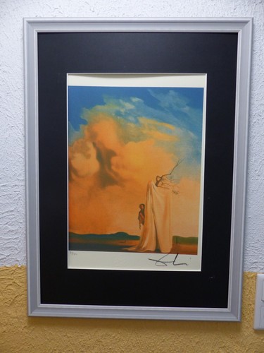 Salvador dali lithographie - salvador,