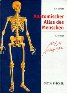 Anatomischer atlas des - anatomischer,