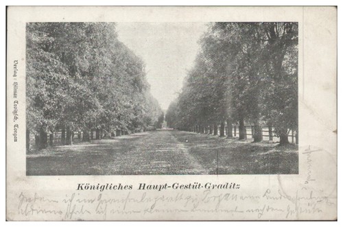S7085 königl haupt gestüt - königl., haupt-gestüt