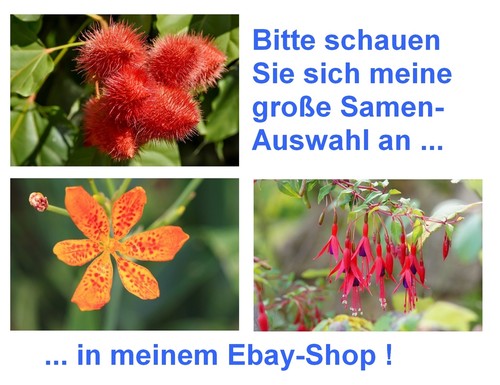 Samen supersorten sparset - samen, 3