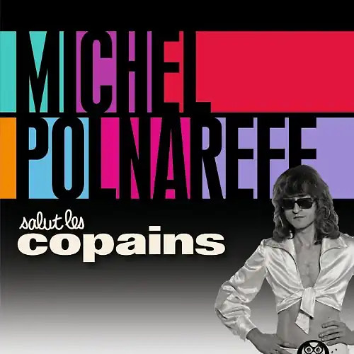 Michel polnareff salut les - michel,