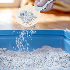 1 Set Cat Wurf Cleanup Kit Cat