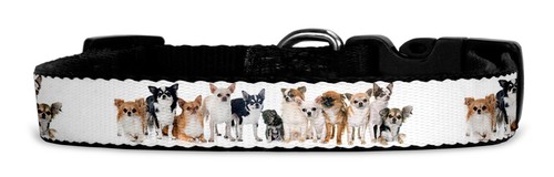 Hundehalsband aus textil mit - hundehalsband,