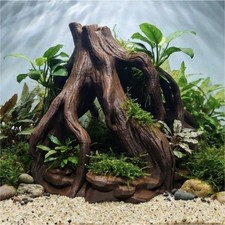Terrarium Tall Mangrove Root