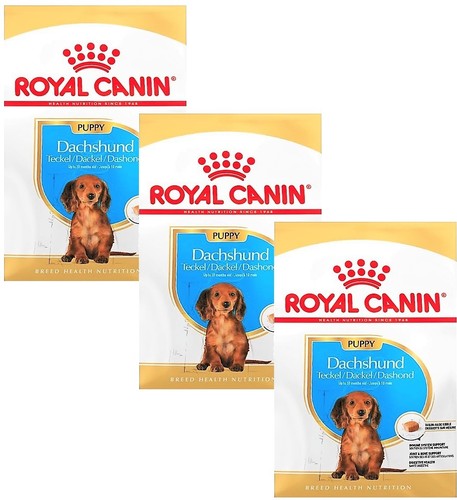 Royal canin dachshund puppy - royal,