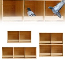 Sittich Nistkasten Nistkästen