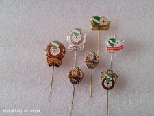 Konvolut Anstecknadeln