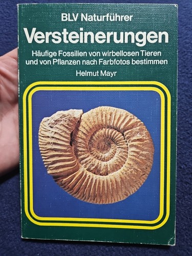 K24 versteinerungen - versteinerungen,