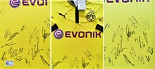 Trikot puma borussia dortmund - puma,