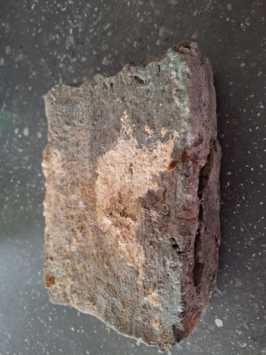 Backstein mit graugrüner