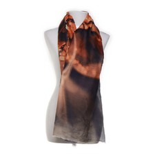 Faliero Sarti, Sommerschal