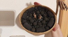 Feuerwerk Dummy / Pyrotechnik