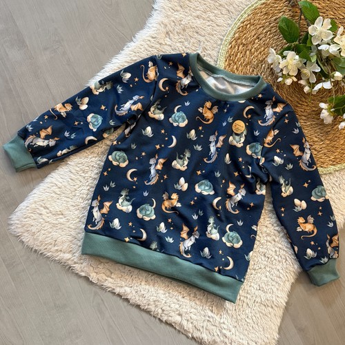 Sweatshirt shirt kinder - sweatshirt,