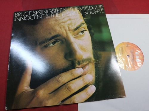 Bruce springsteen the - , wild