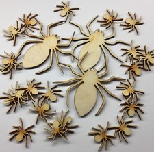 Spinne Kartengestaltung