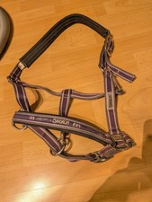 Eskadron Halfter Lavender Stone – Turf W Full – Classic Sports HW 2009