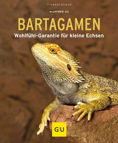 Bartagamen - , |