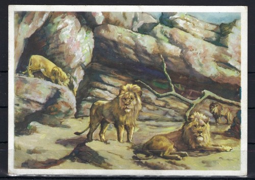 Carl hagenbecks tierpark - ak,