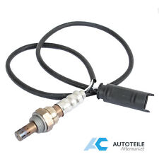 Lambdasonde Nach Kat