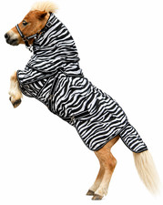 Fliegendecke Zebra Minipony