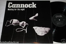 CANNOCK waiting for the night