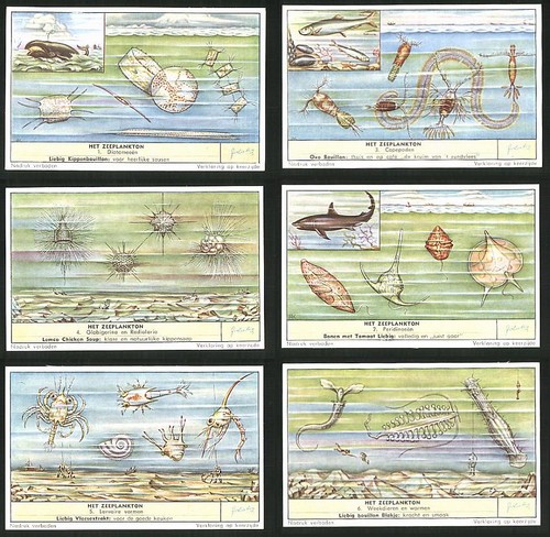Sammelbilder liebig serie - 6, liebig,