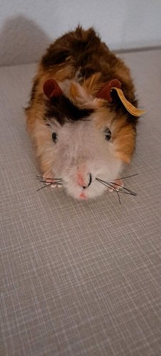 Steiff meerschweinchen cm - steiff,