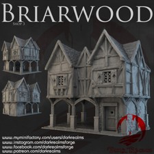 Dark  Realms Briarwood (Bree)