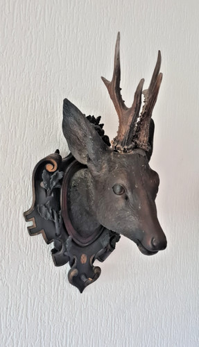 Rehbock kopf trophäe - kopf,
