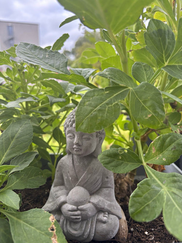 Buddha figur sitzend - buddha, grau