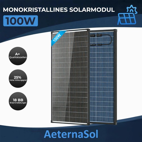 100w bifaziale solarpanel glas - 100w,
