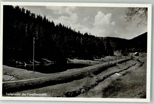 10717505 7272 altensteig - -,