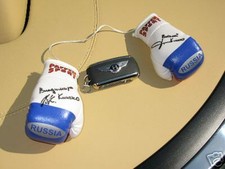 WLADIMIR & VITALI KLITSCHKO