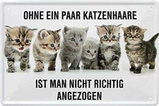 Blechschild Lustiger Spruch & Motiv “Ohne EIN Paar Katzenhaare ist “ Deko Gesche