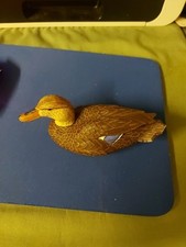 ROGER DESJARDINS   HEN Malard cane malard Canada STOCKENTE  NATURES Window Hobby