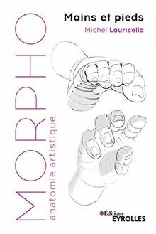 Morpho mains pieds - morpho,