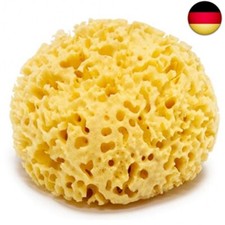 Naturschwamm Groß 13 cm